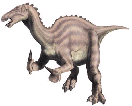  Iguanodon