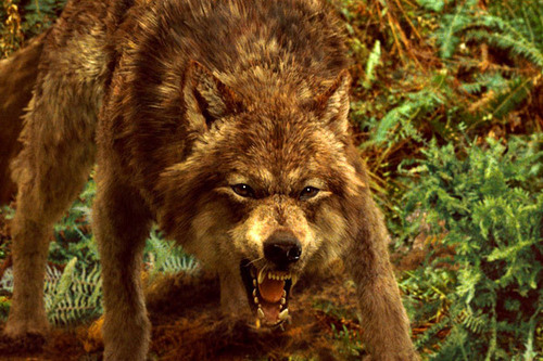  LOS LICANTROPOS - THE manusia serigala
