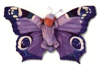  Purple бабочка baby