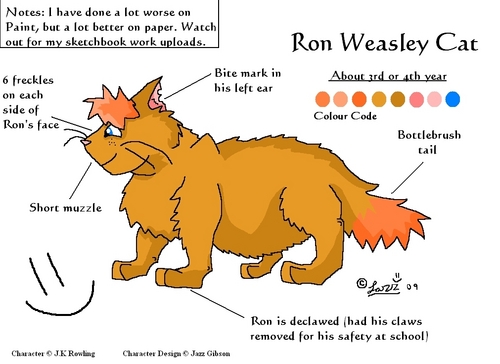  Ron Weasley Cat Model Sheet
