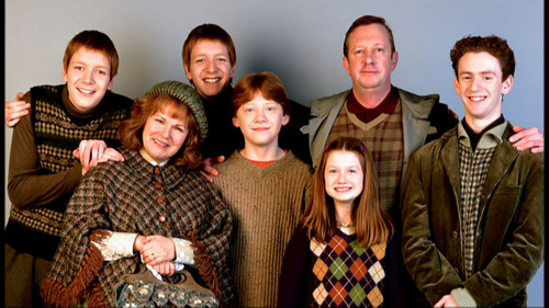 The Weasley Family :)