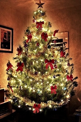  क्रिस्मस पेड़ with bows