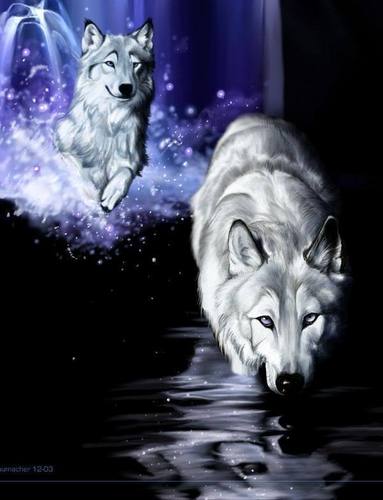  white lobo fantasia