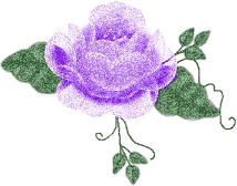  A Purple Rose!