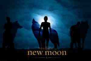  New Moon Pack