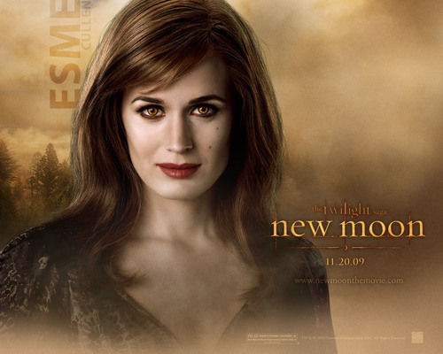  Official New Moon Обои