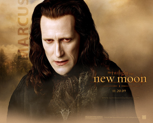Official New Moon Wallpapers