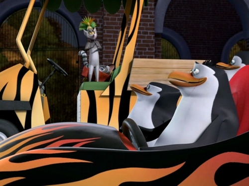Penguin's Race