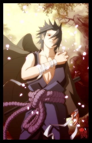  Sasuke In The Best¡¡