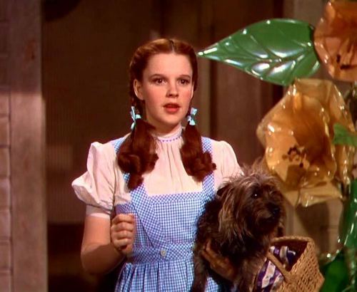  The 1930's the wizard of oz