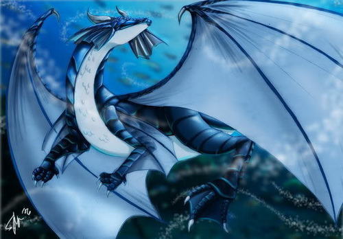  Water Dragon