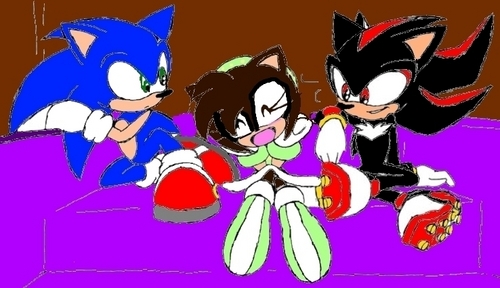  my sonic and shadow pic