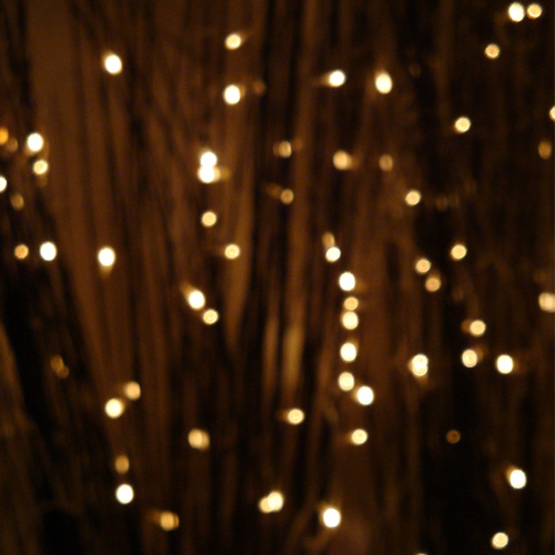  Рождество Lights