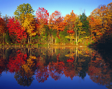 Autumn - Nature's Seasons Photo (9455425) - Fanpop