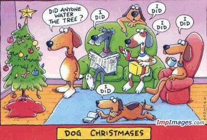  クリスマス funnies :D