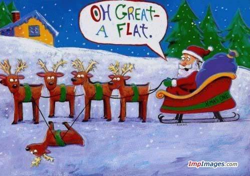  圣诞节 funnies :D