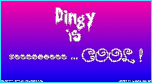  Dingy is Cool banner~!!!
