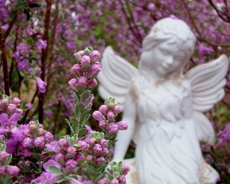  Garden Angel