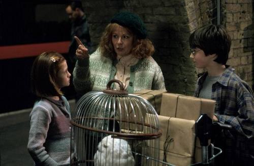  Ginny,Harry and Molly Weasley