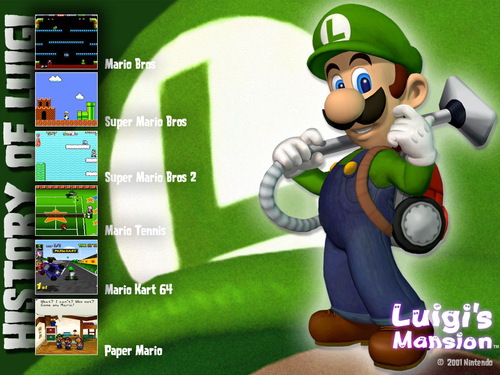 History of Luigi