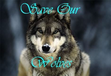 Save Our Wolves !