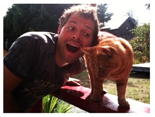  Misha and a ginger cat!