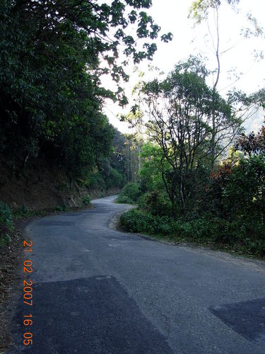  Munnar Road