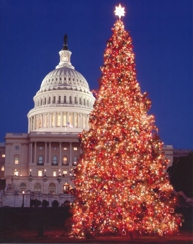 The Capital Christmas Tree
