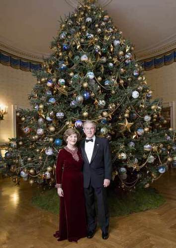  The White House 圣诞节 树