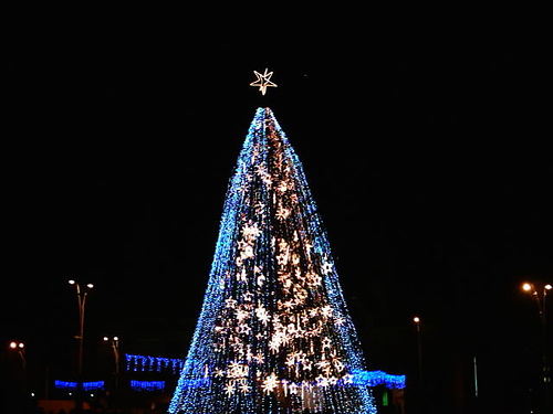  درخت of Lights