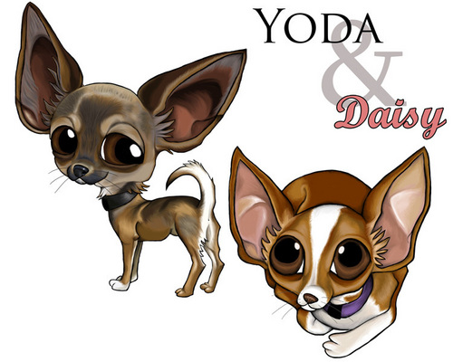 Yoda & Daisy
