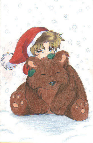  cause 圣诞节 bears are cute