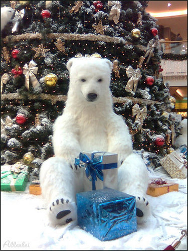  cause Natale bears are cute