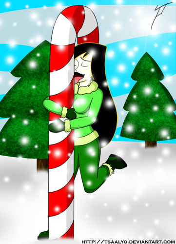  圣诞节 糖果 canes♥