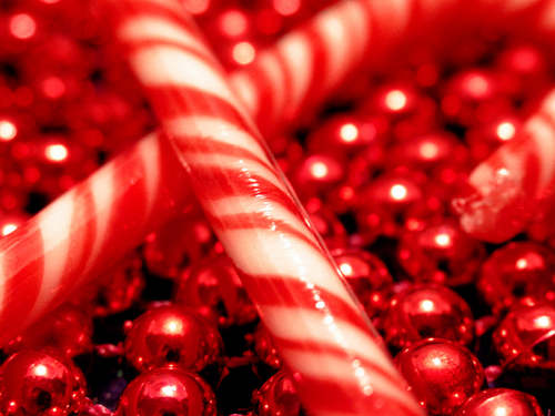  クリスマス キャンディー canes♥