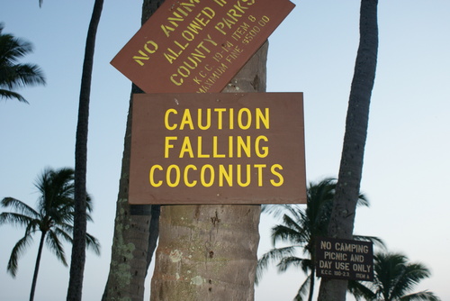  falling coconuts