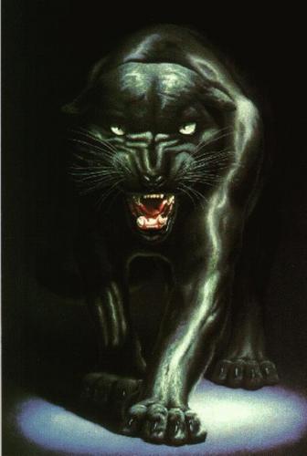  Black pantera, panther Fanart