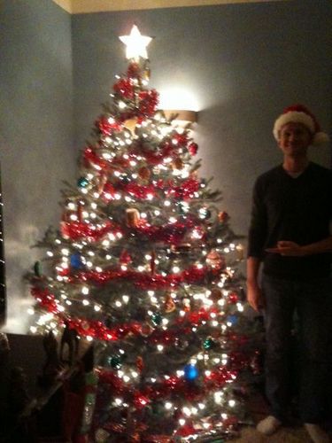  크리스마스 나무, 트리