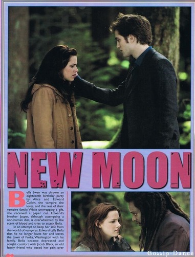  New Moon Collector Edition