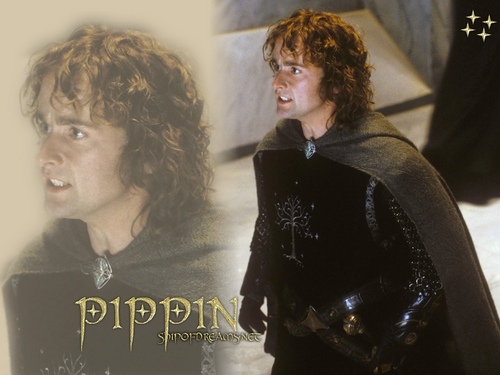  Pippin Took