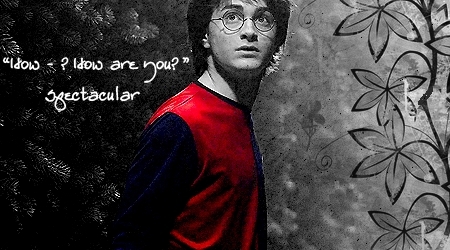  Harry and The Goblet of آگ کے, آگ