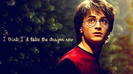  Harry and The Goblet of fogo