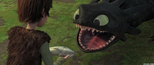  Hiccup & Toothless