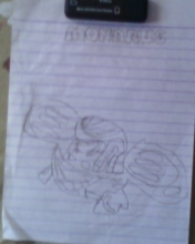  Monarus