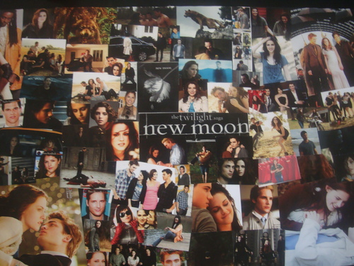  New Moon Collage
