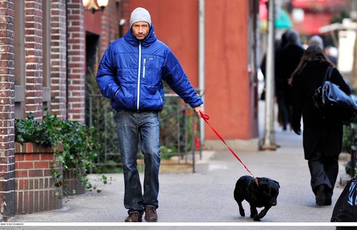  04/01/2010 walking his dog