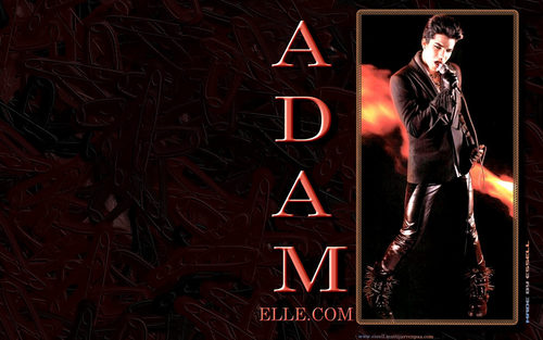  Adam Hintergrund