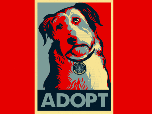  Adopt