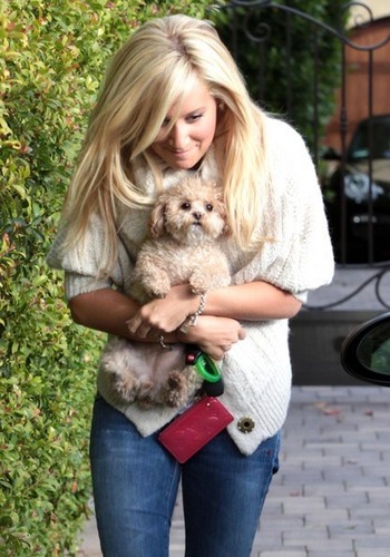  Ashley Tisdale Picking Up Her Dog From Her Parents