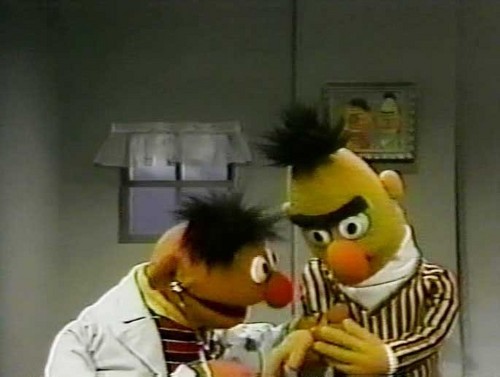  Ernie and Bert